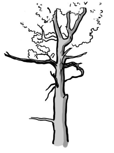 Kód 25: Mrtvé větve